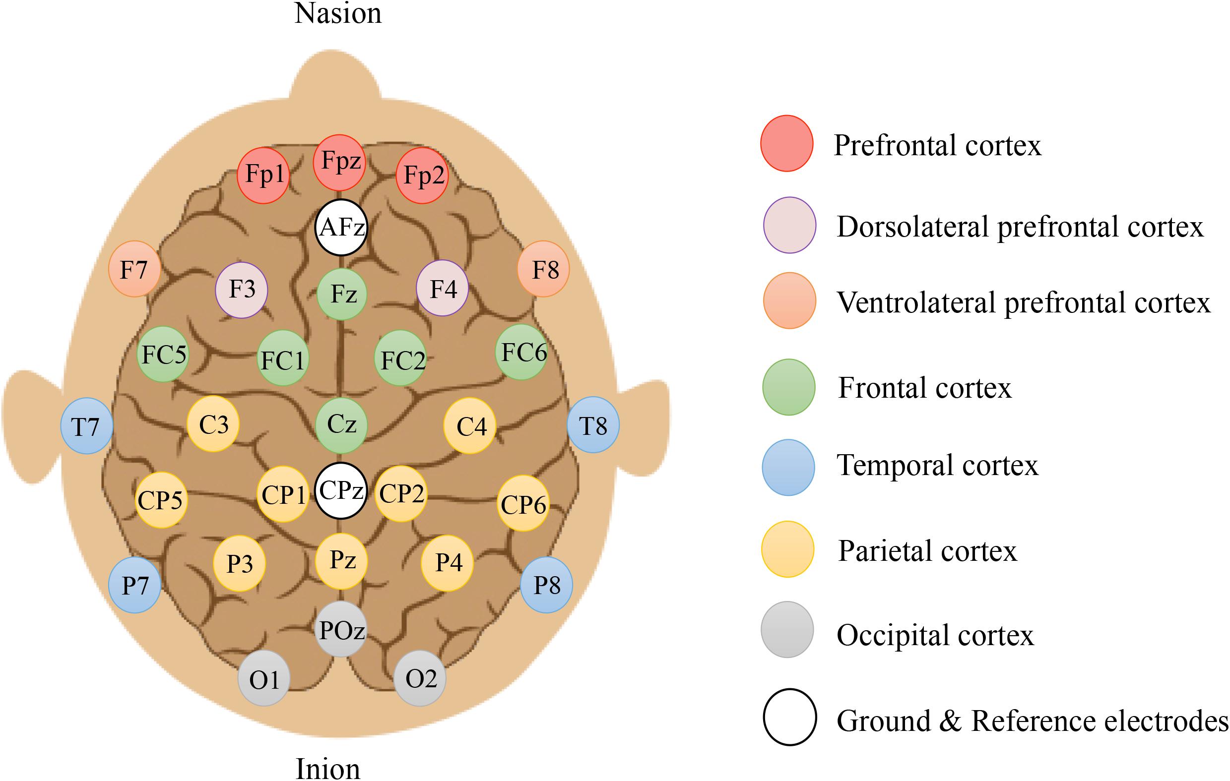 Classification of natural sounds with EEG and Python python Neurostars