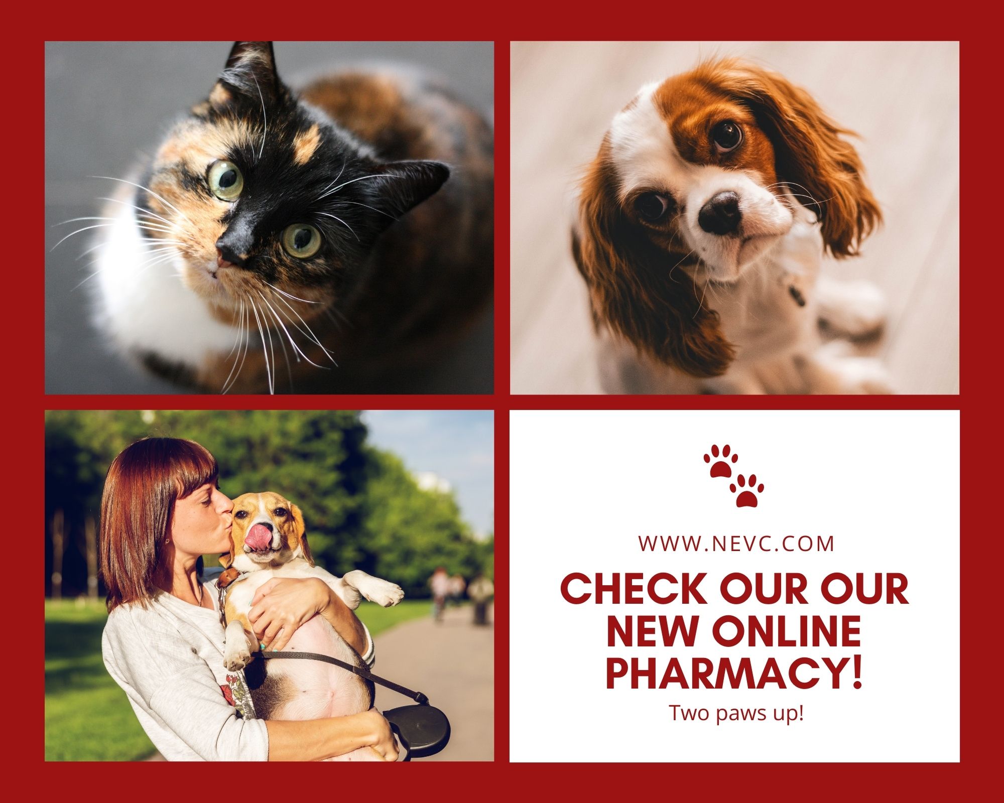 Online Veterinary Pharmacy in El Paso, TX Northeast Veterinary Clinic