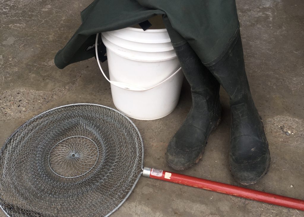 Do Something New Smelt Netting Never A Goose Chase