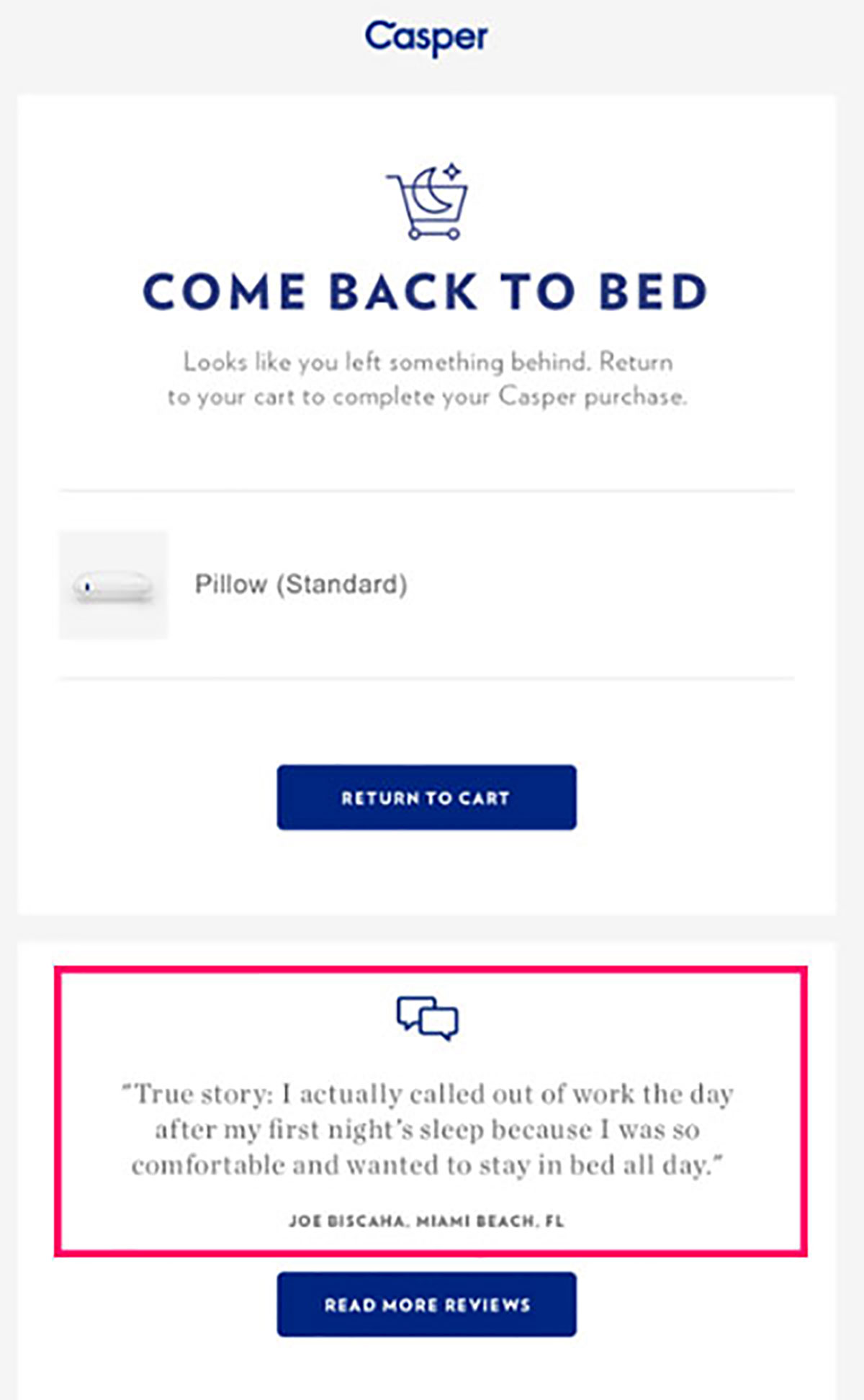 Best Abandoned Cart Emails to Convert Unconvinced Shoppers NeverBounce