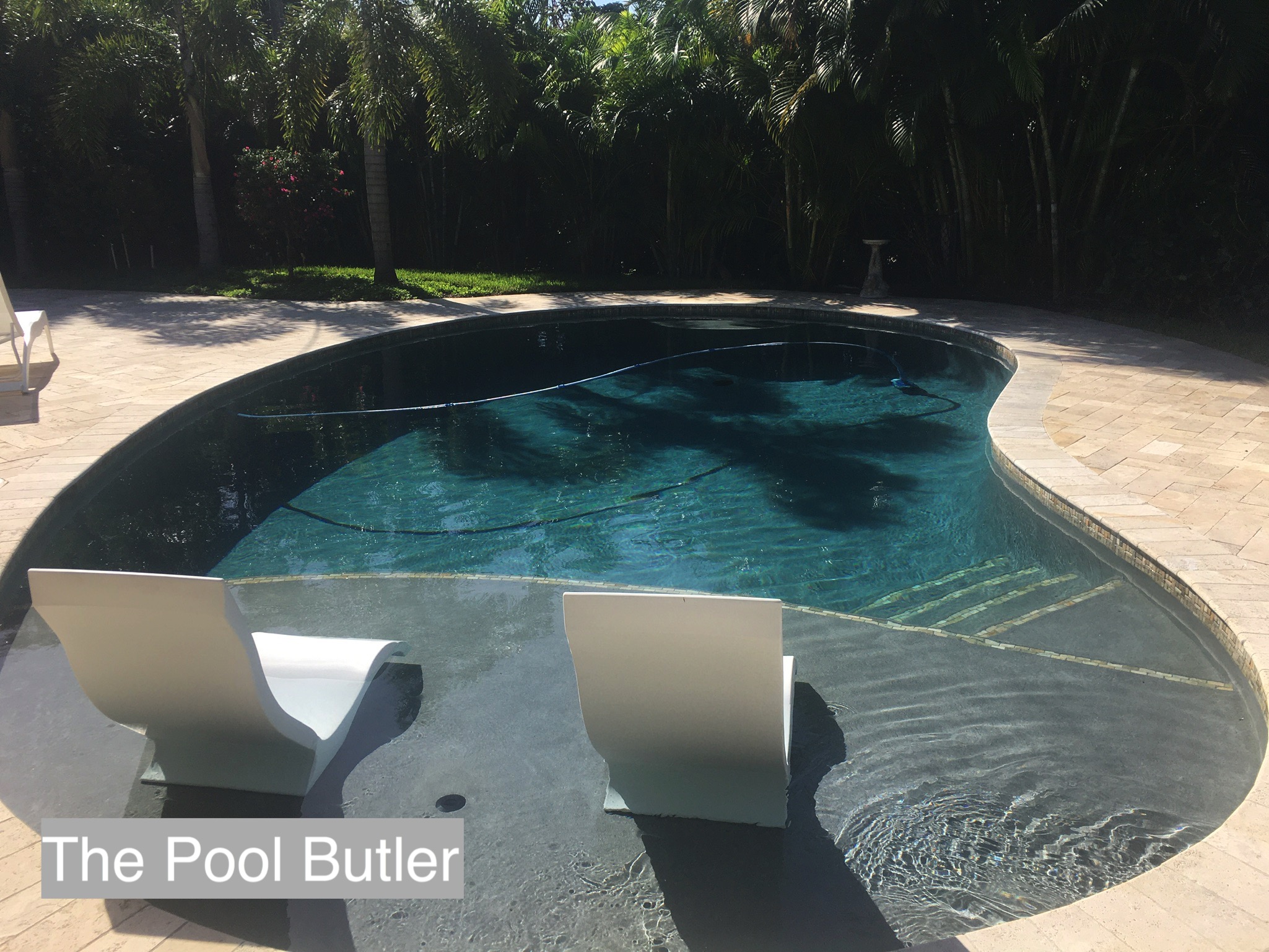 Sun Shelf in Your South Florida Pool Customize yours today with the