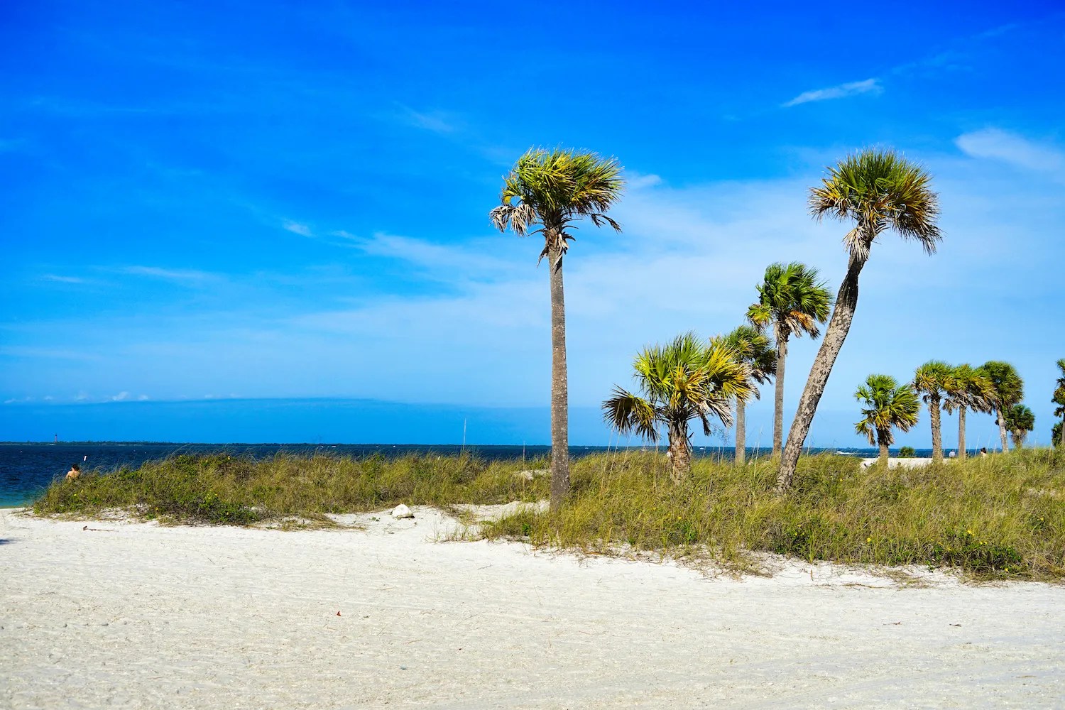 Pros and Cons of Palm Harbor, Florida The Ultimate Guide