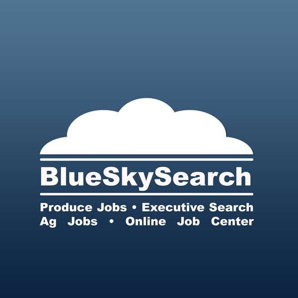 BlueSkySearch Imaginary Friends Design Studios
