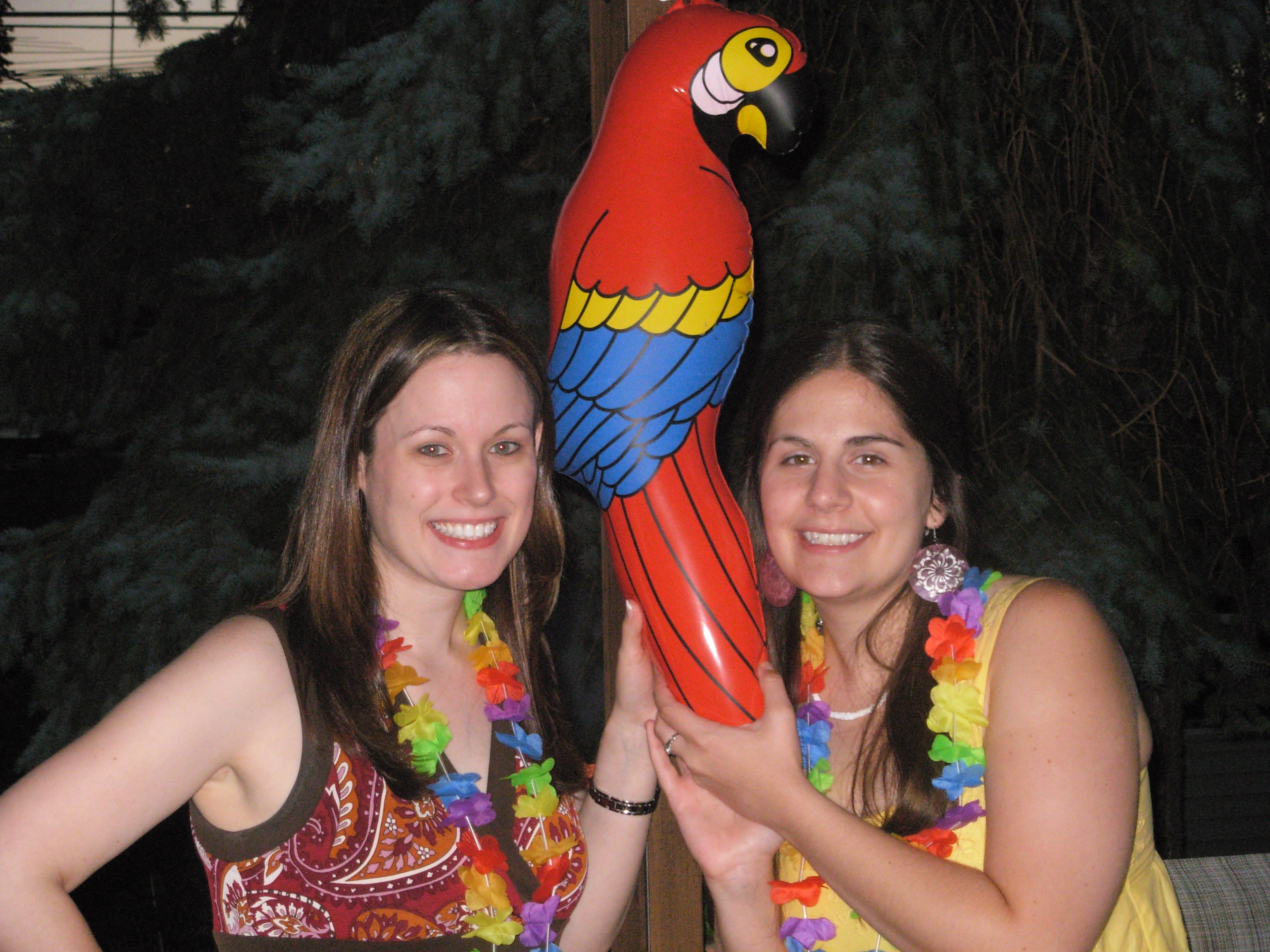 I Am A Fan of Sir Tommy Bahama | never settling