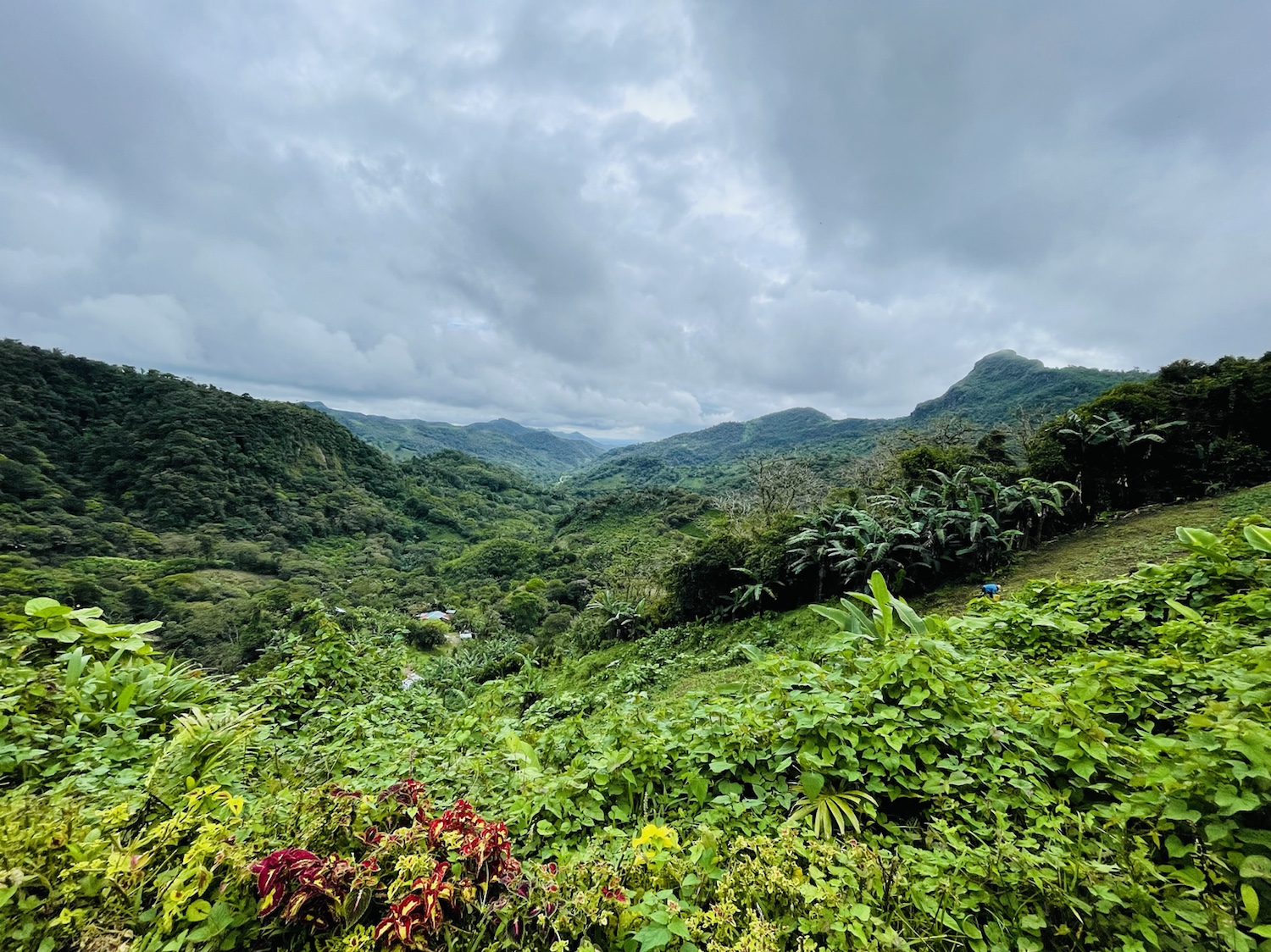 Altos del Maria, Panama Travelnotes360°
