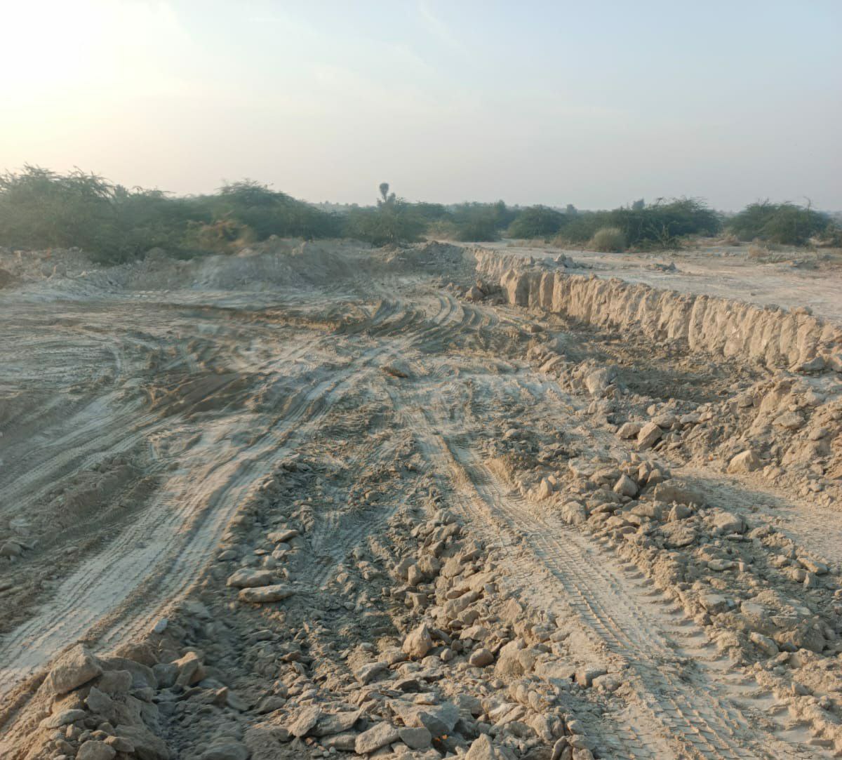 Gypsum mafia dug forest land in bikaner rajasthan जिप्सम माफिया ने