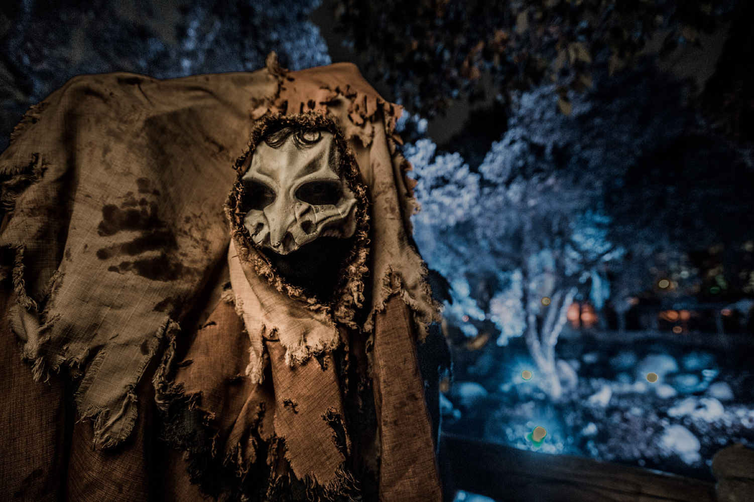 Knott's Scary Farm The Hollow