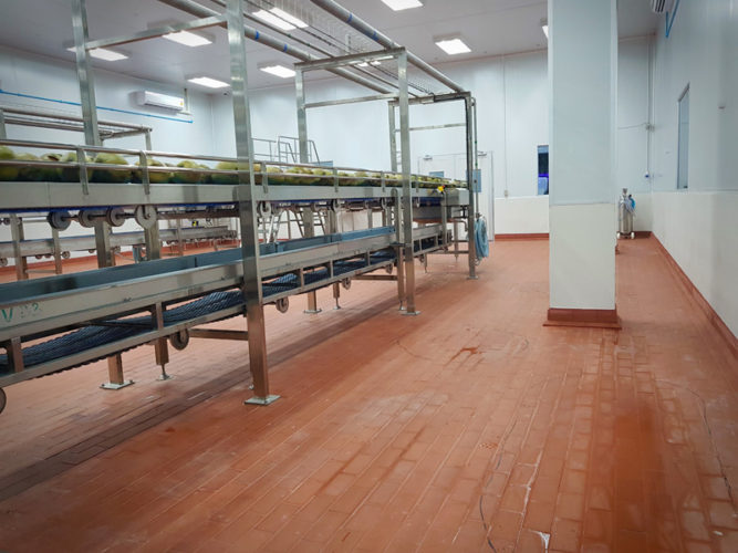 HARMLESS HARVEST OFFICE & FACTORY Prime Built Development