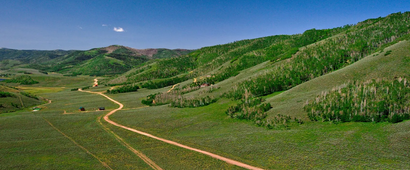 Large Estate Lot on Hillside with Trees! 5.45 Acres Lot 78 Scofield