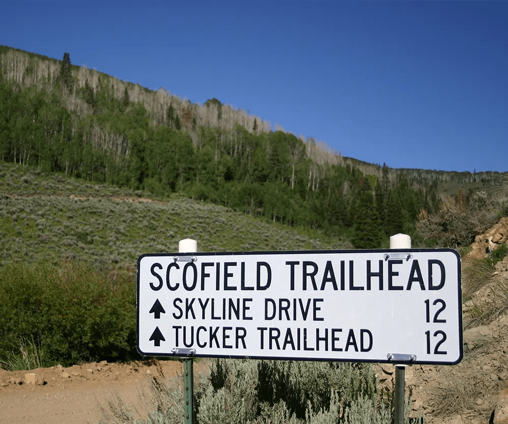Scofield Mountain Estates at Scofield, Utah Recreation Properties