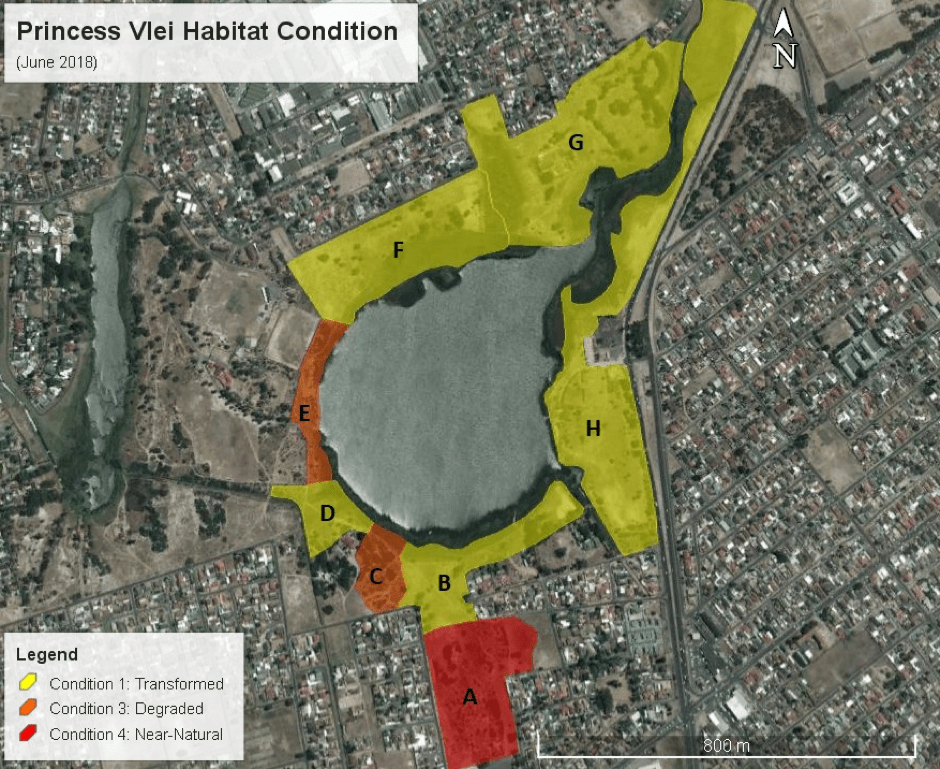 Restoration Resource Center Princess Vlei Restoration Project for the