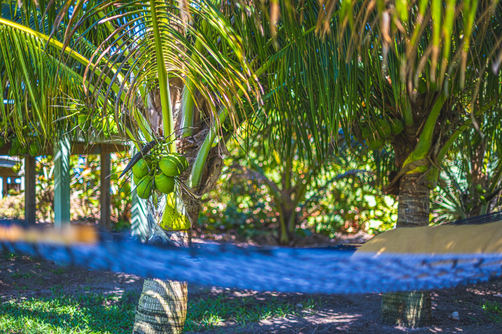 Tranquility Melbourne Beach's Premiere Oceanfront Vacation Rentals