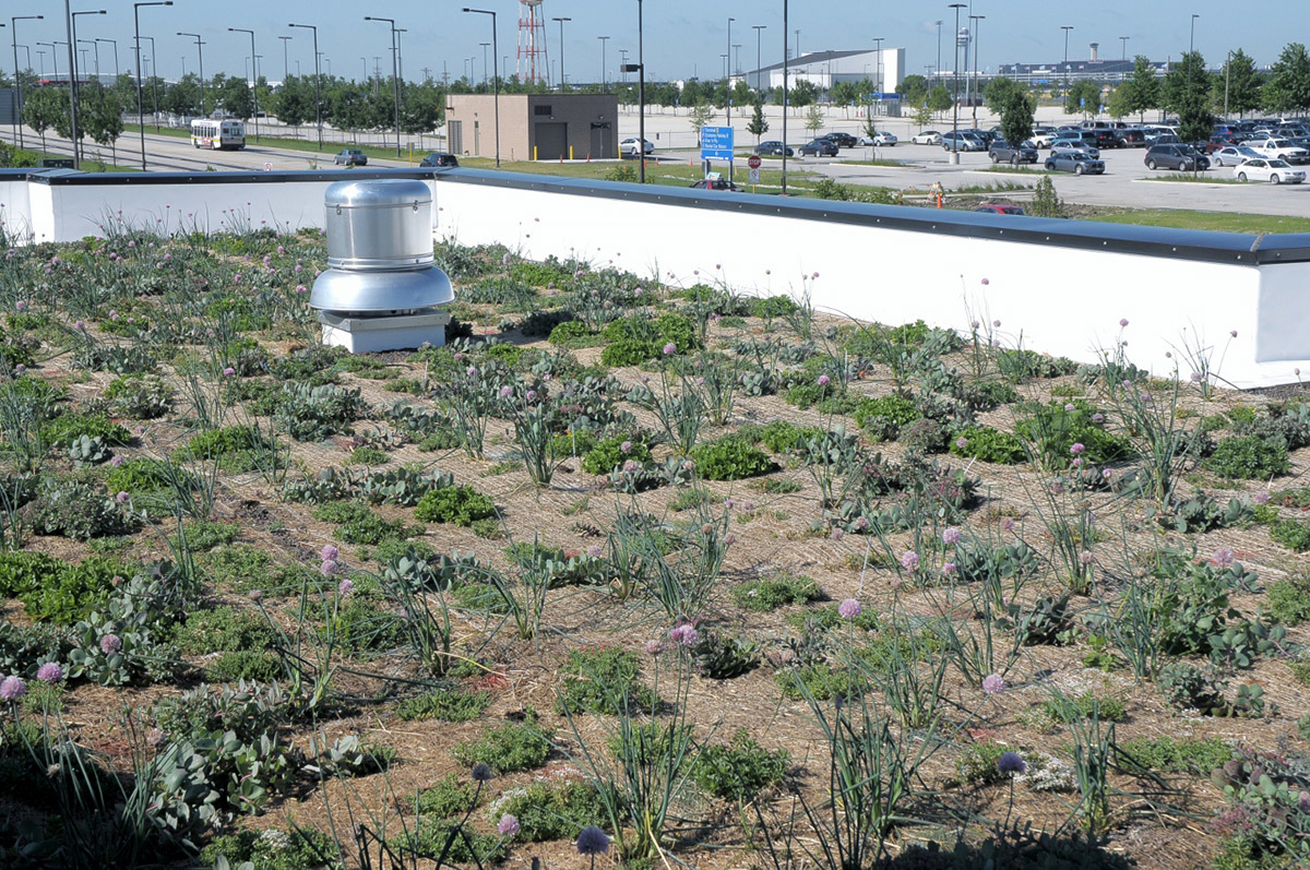 Retail Enterprise RentACar