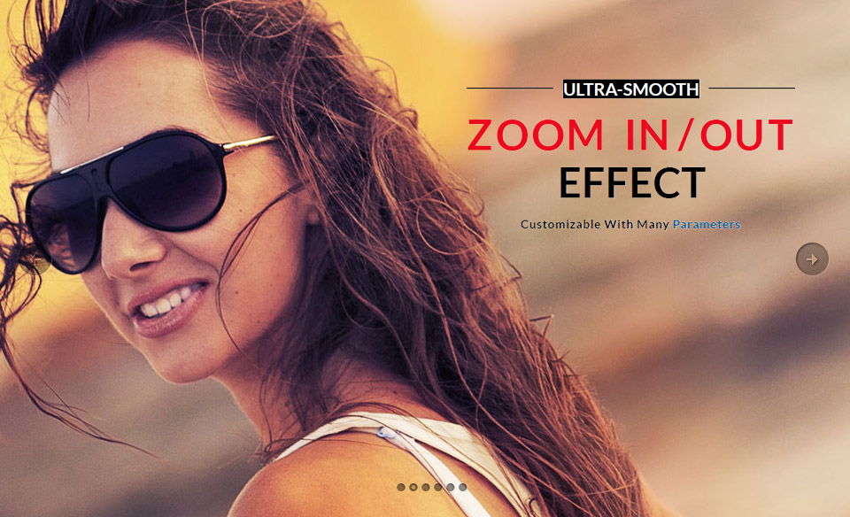 FS Opportune Skin Zoom In/Out Sliders Full Collection WordPress
