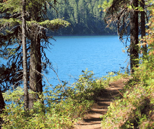 Bead Lake Trail Northeast Washington Trails