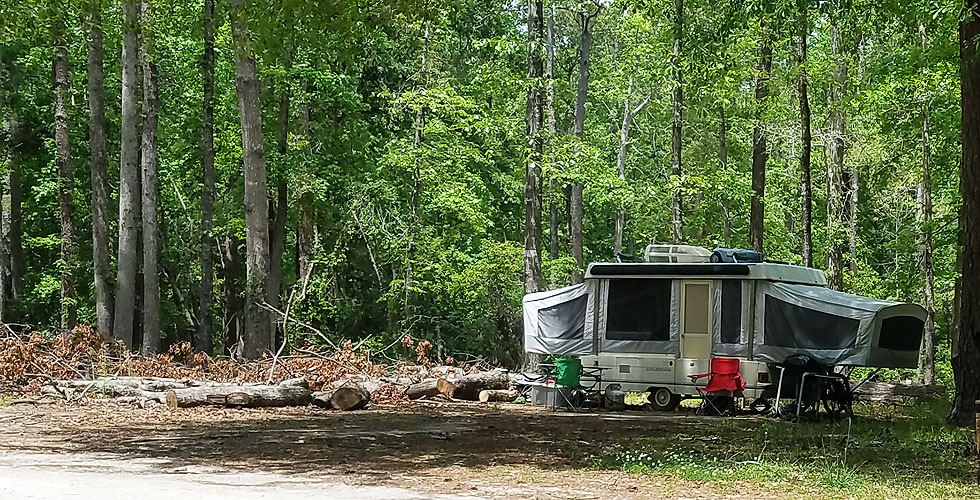 Get Back to Nature and Go Camping New Bern’s Local News and