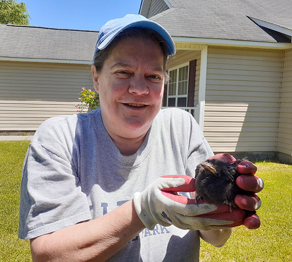 What to do with orphaned or injured wildlife New Bern’s Local News