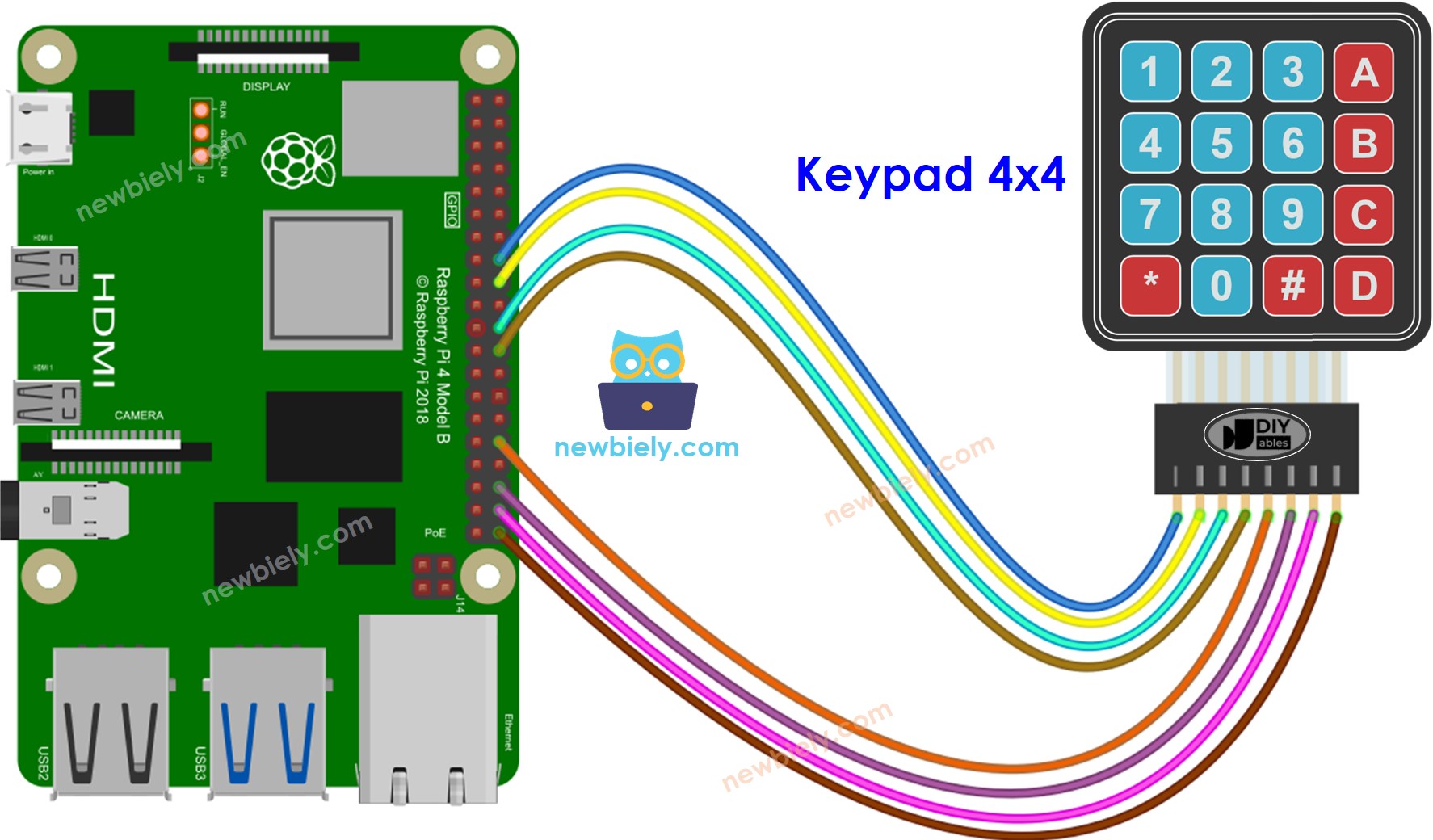 Raspberry Pi Keypad Raspberry Pi Tutorial