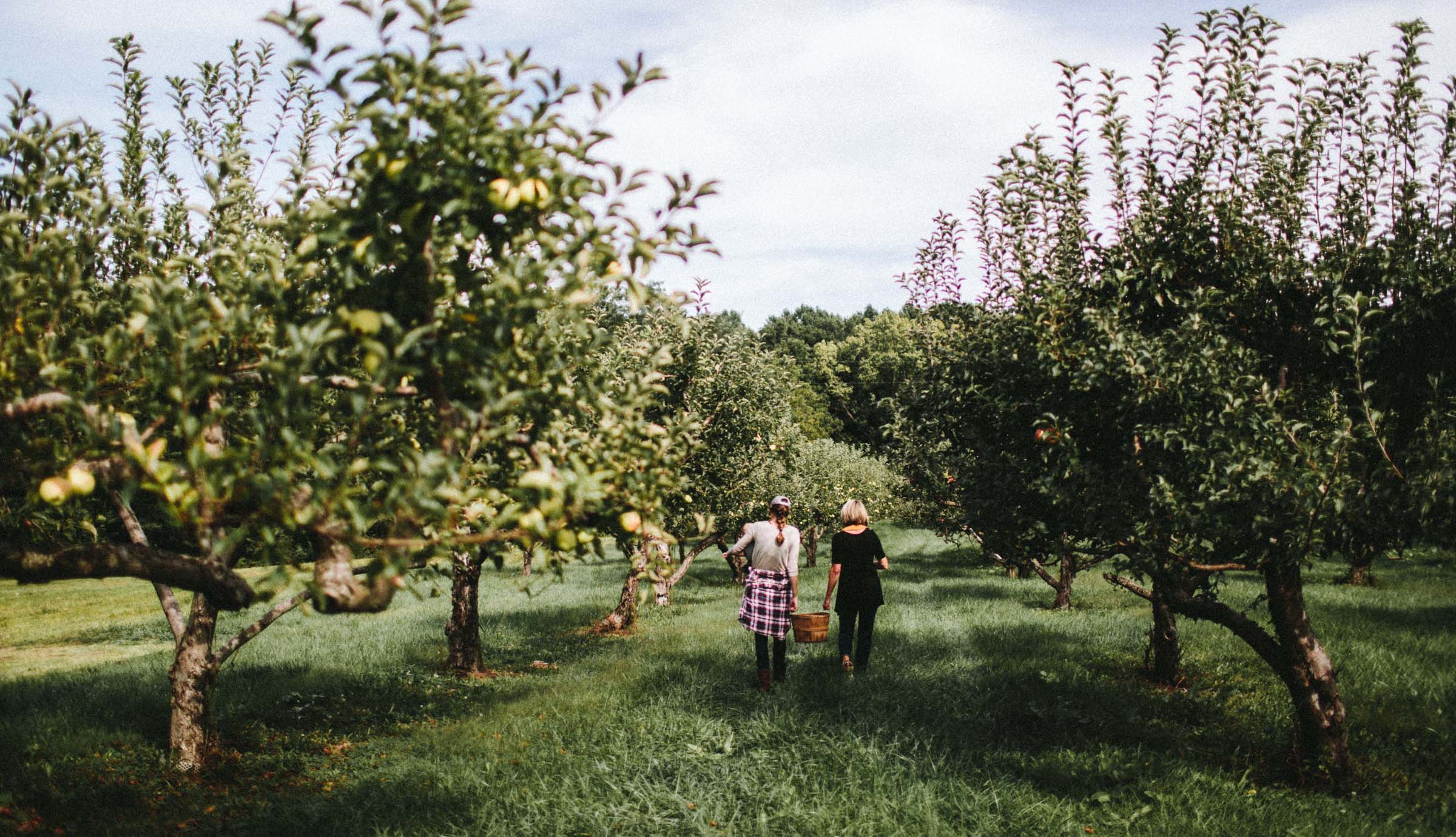 Williams_Orchard_experience_382 New Buffalo Explored
