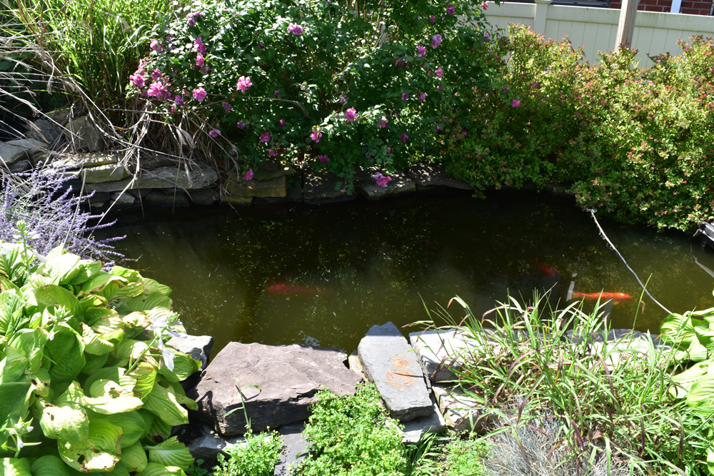 Gallery Sapphire Nursing at Meadow Hill