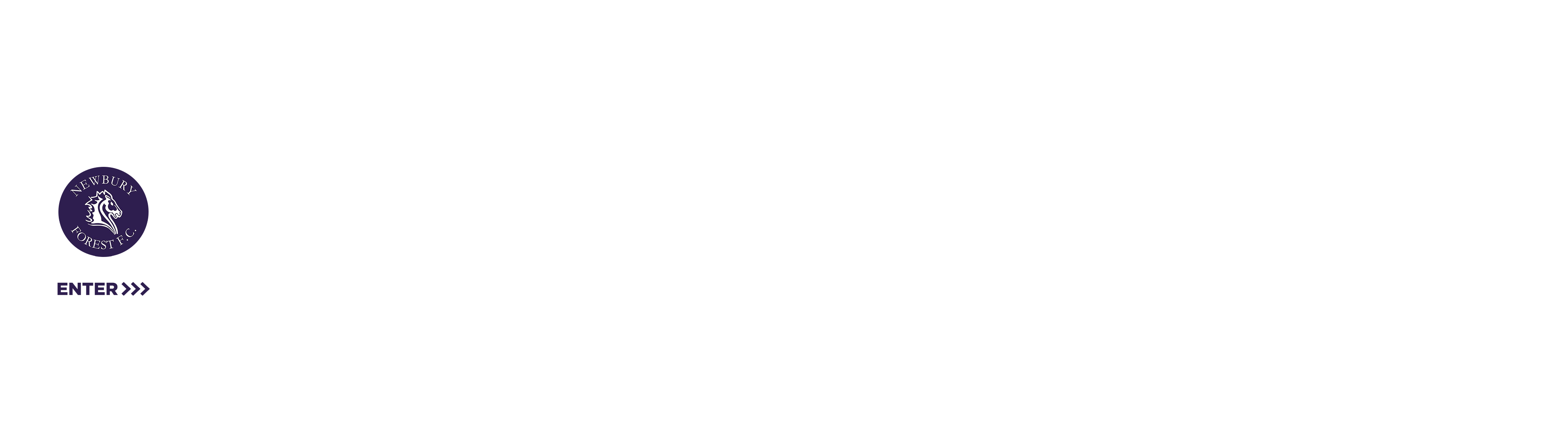 Newbury Forest FC // under construction