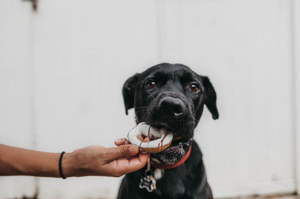 Are You Dogfooding Your Own Marketing? BSBusiness