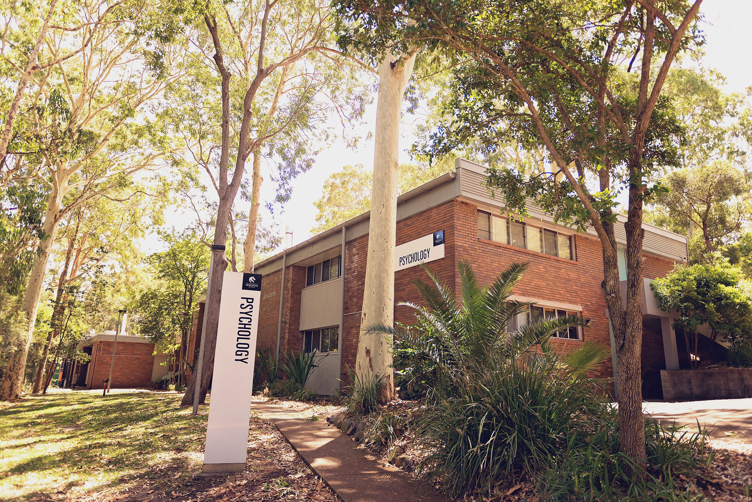 Newcastle Cognition Lab Home Newcastle Cognition Lab