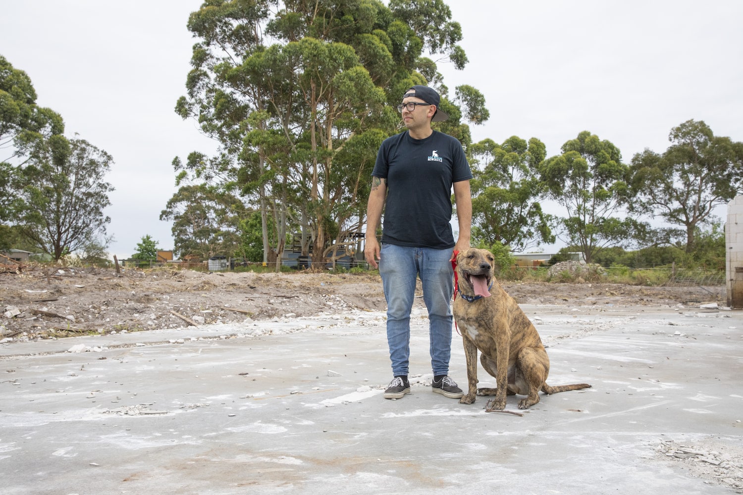 Dog Rescue Newcastle is building a safe place for animals Newcastle