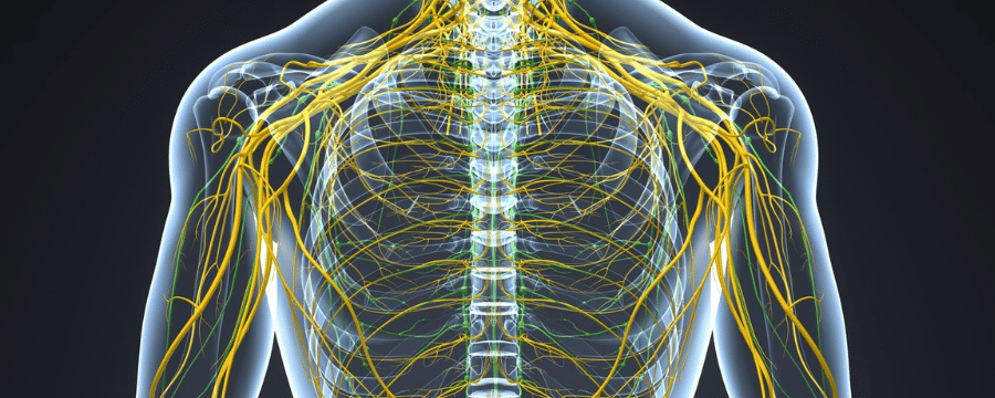 How Long Does Hydrocodone Stay in Your System? New Choices TC