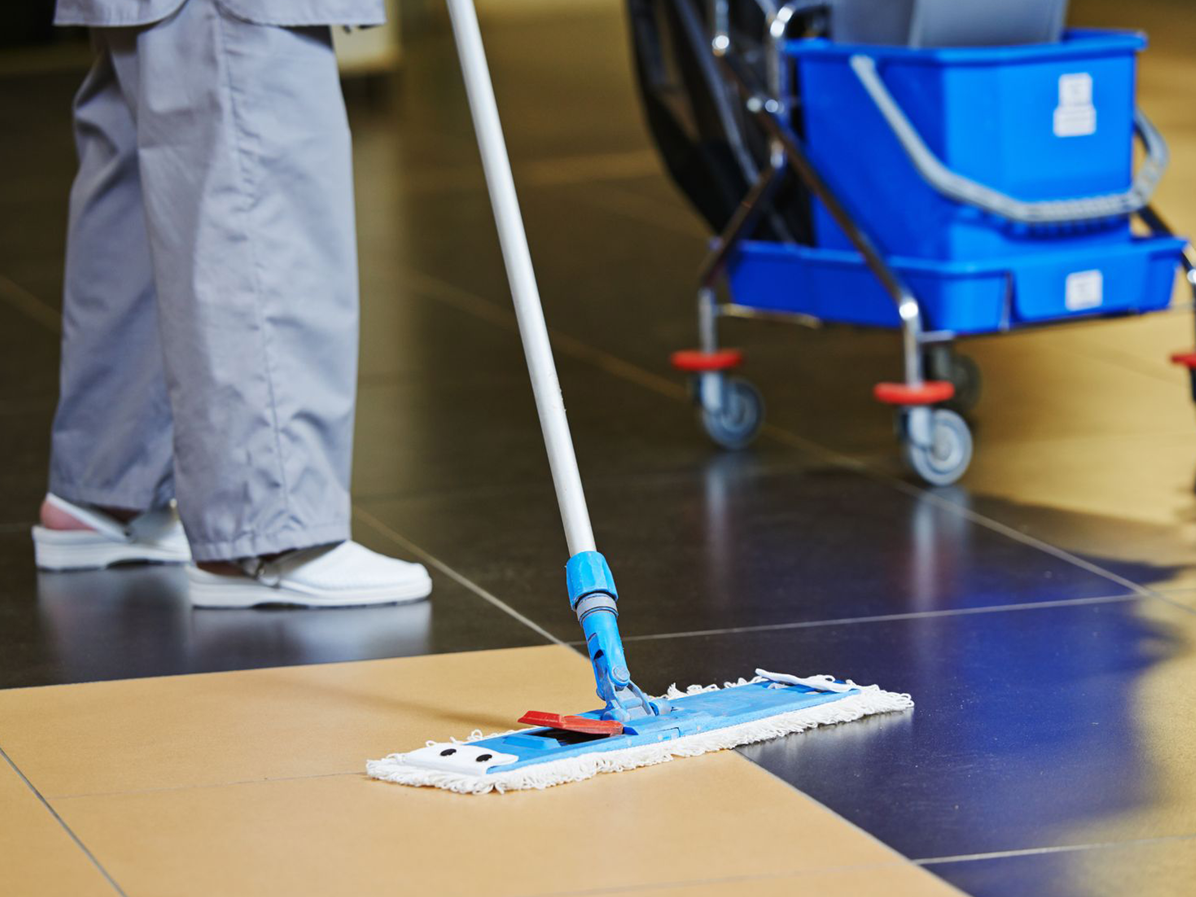 janitorialservices Janitorial Services
