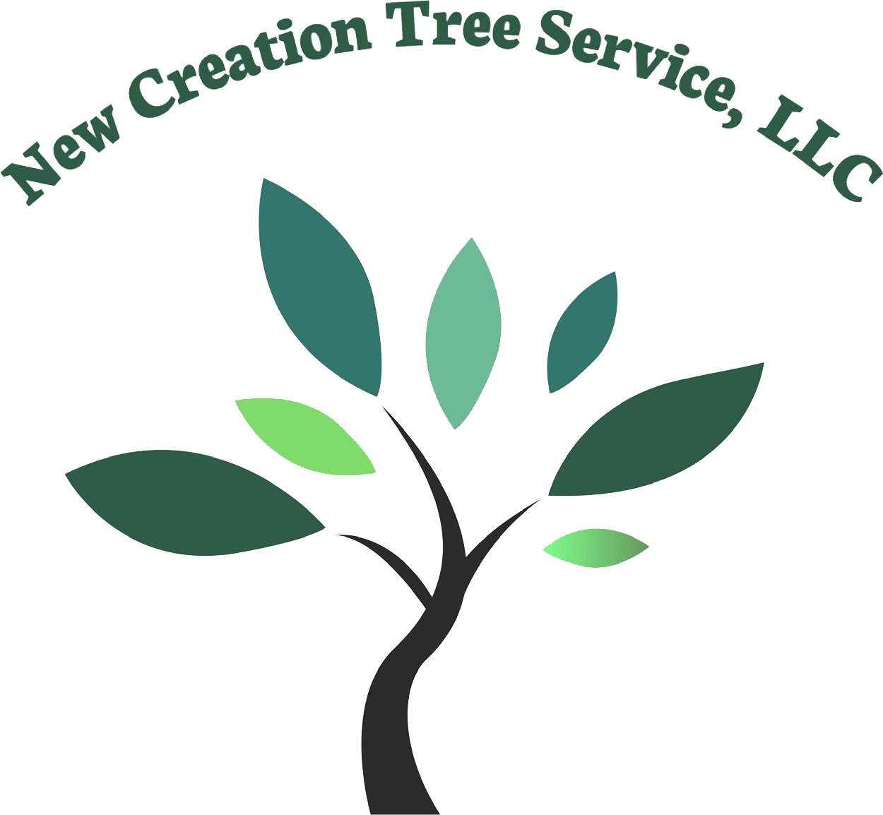 Quality Tree Service in Laurel, MD, 20708