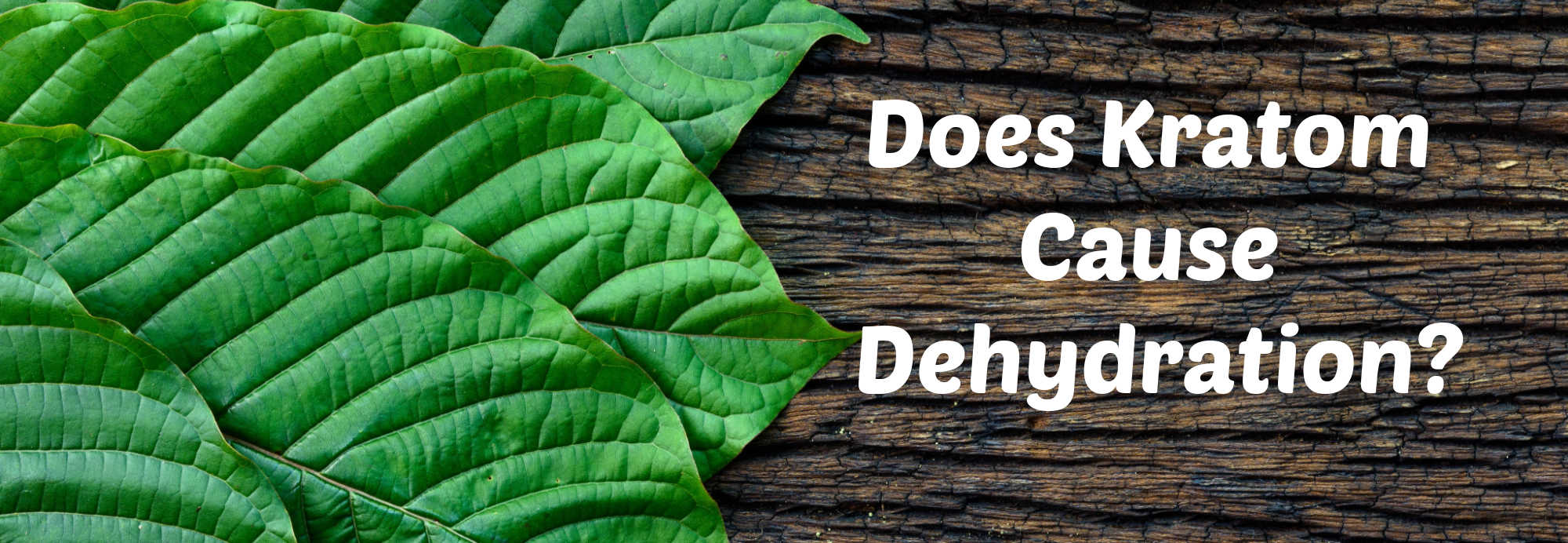Kratom Dehydration Why Does Happen and What Can You Do?