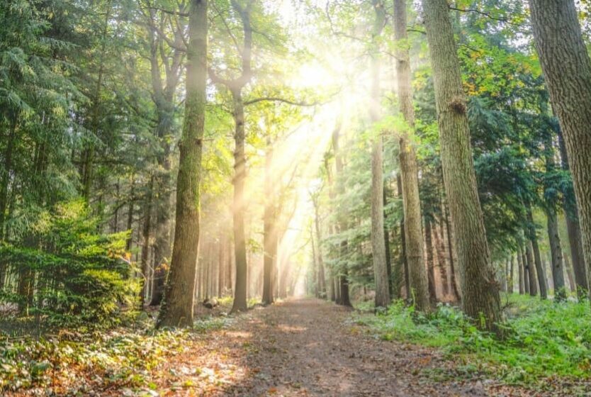 For Businesses Tax Year 2023 Venture Financial Group