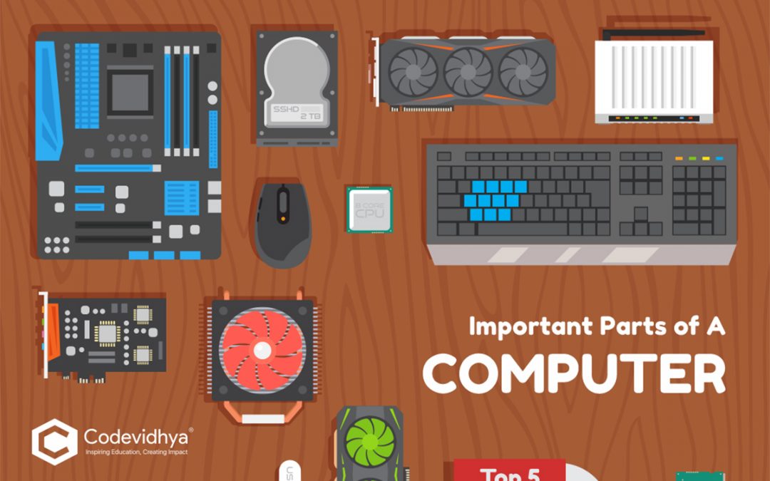 Important Parts of A Computer Top 5 Codevidhya