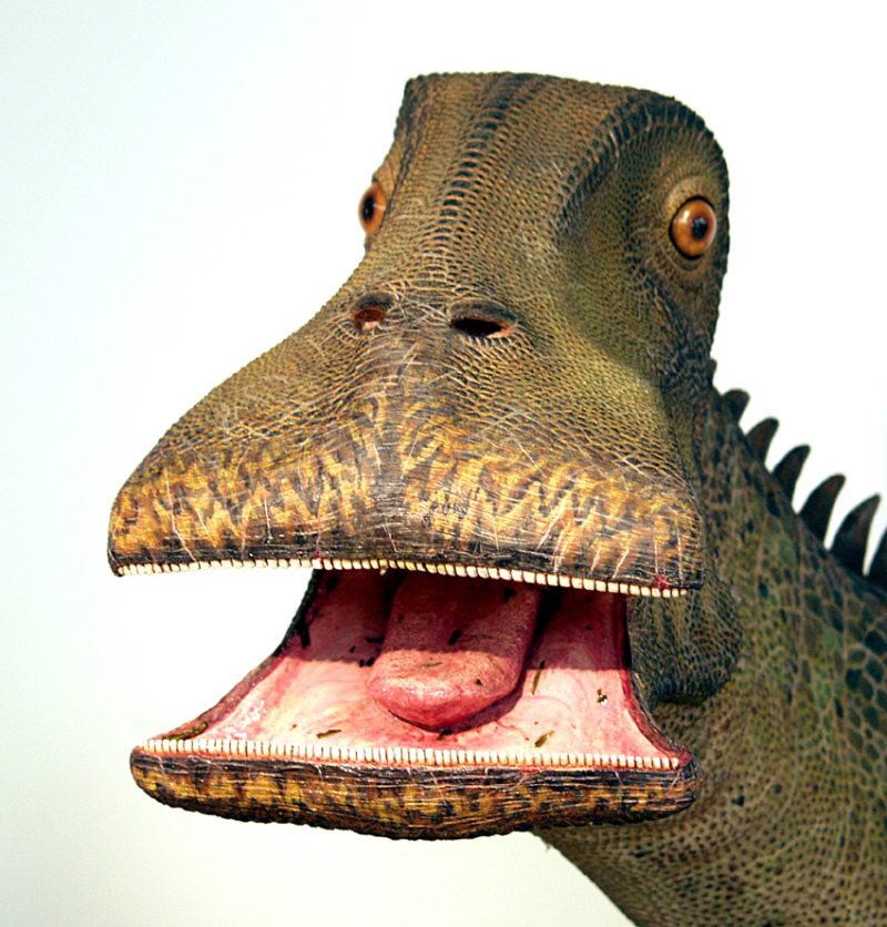Nigersaurus (the dinosaur with 500 teeth!) Dinosaurs Pictures and Facts