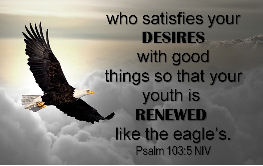 EagleLike Changes New Direction Church of Cotton Valley