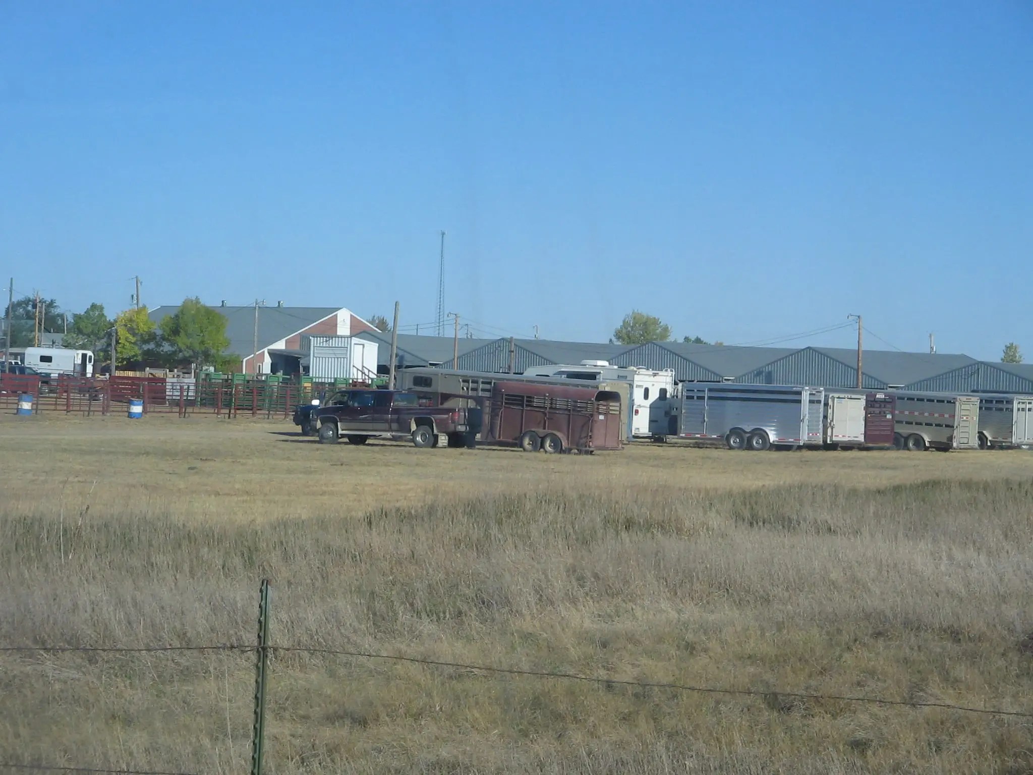 Home Newell Ram Sale