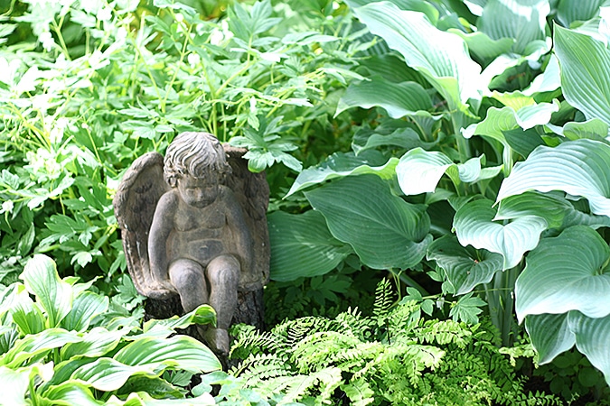 The Best 5 Nurseries & Garden Centers in New England Yankee Magazine