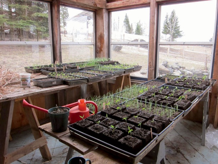 A Fine Sugaring Season Life in the Kingdom New England