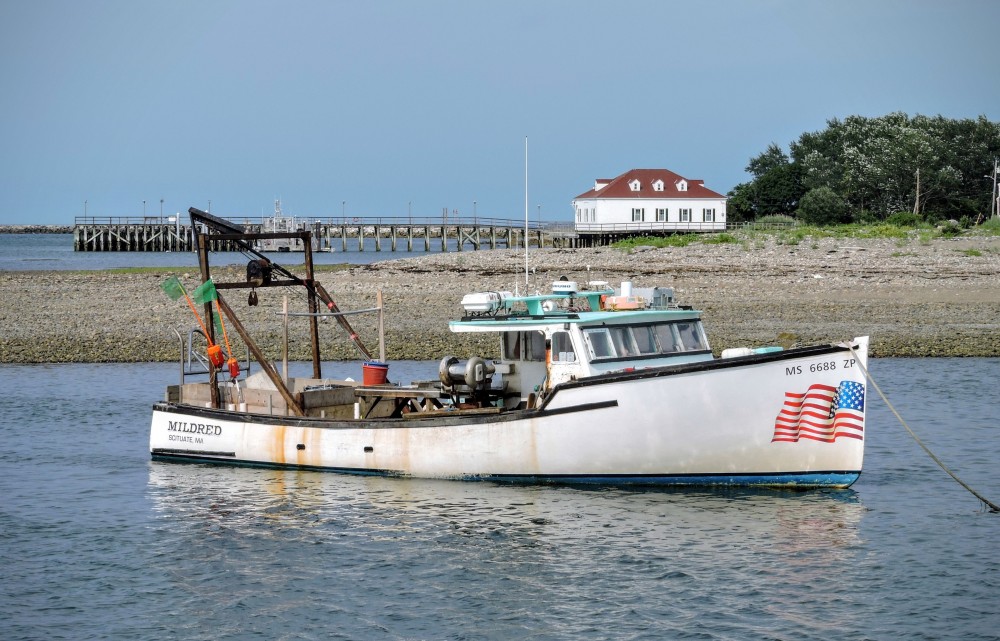 Respite from the Sea New England Today
