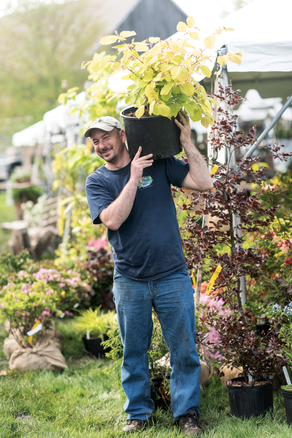 Bangor Flower Garden Show Bios Pics