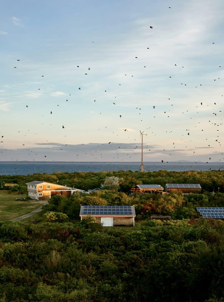 The Essence of Appledore New England