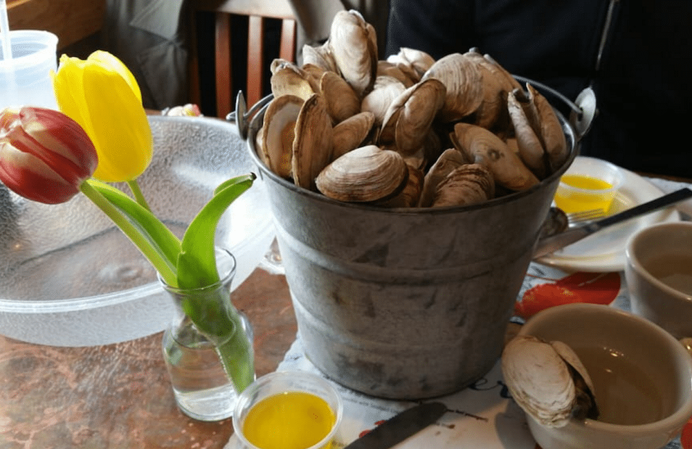 Where to Find the Best Seafood in Portland, Maine New England Today