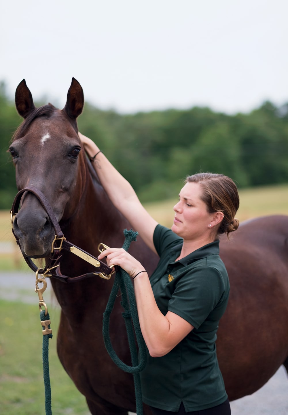 The University of Vermont’s Horse Farm The Horse That Changed