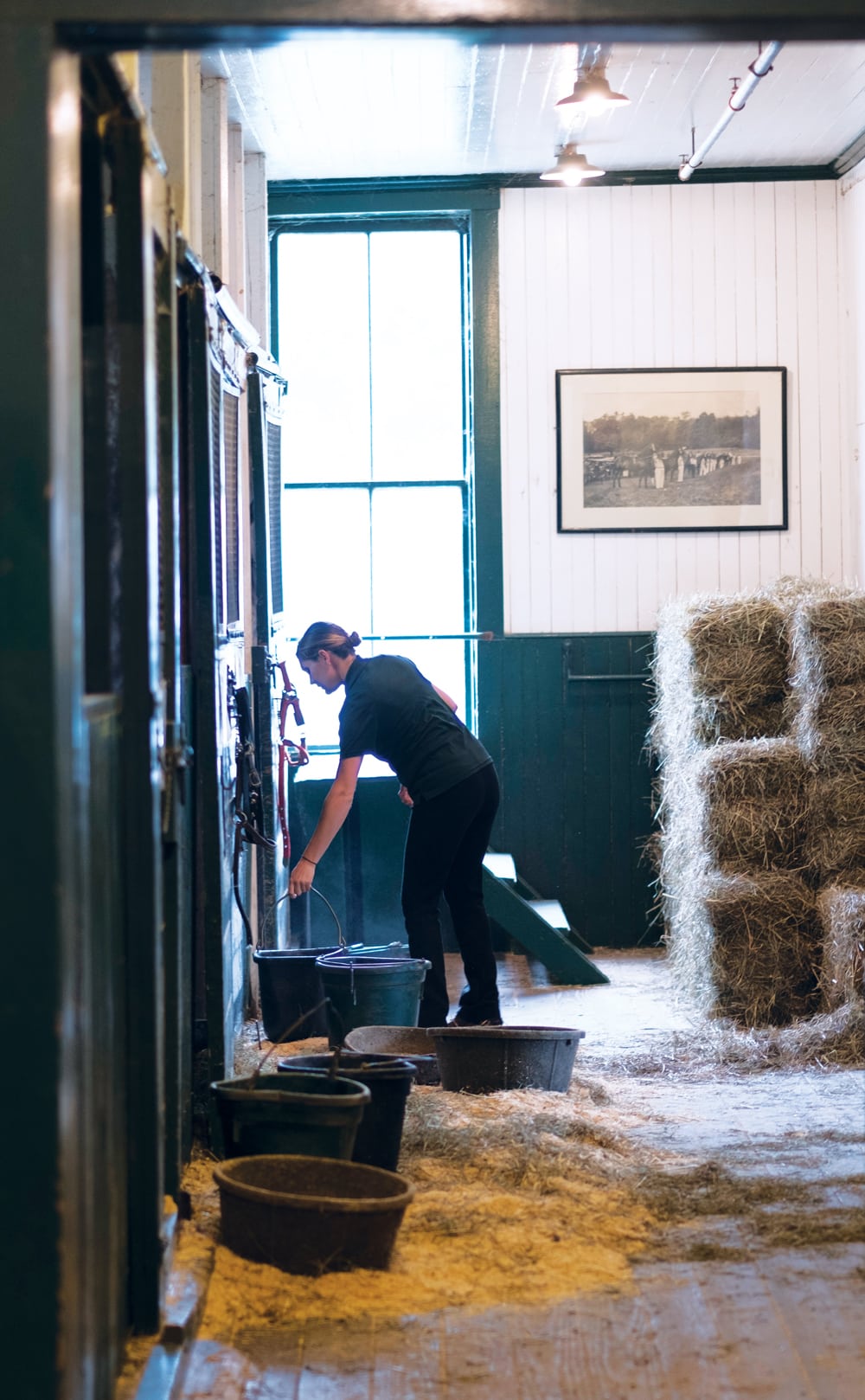 The University of Vermont’s Horse Farm The Horse That Changed