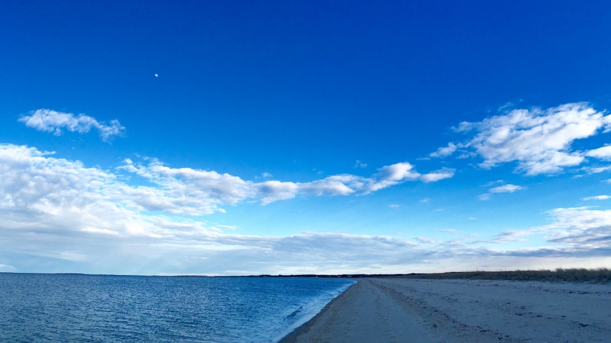 Favorite Things to Do in Oak Bluffs, MA