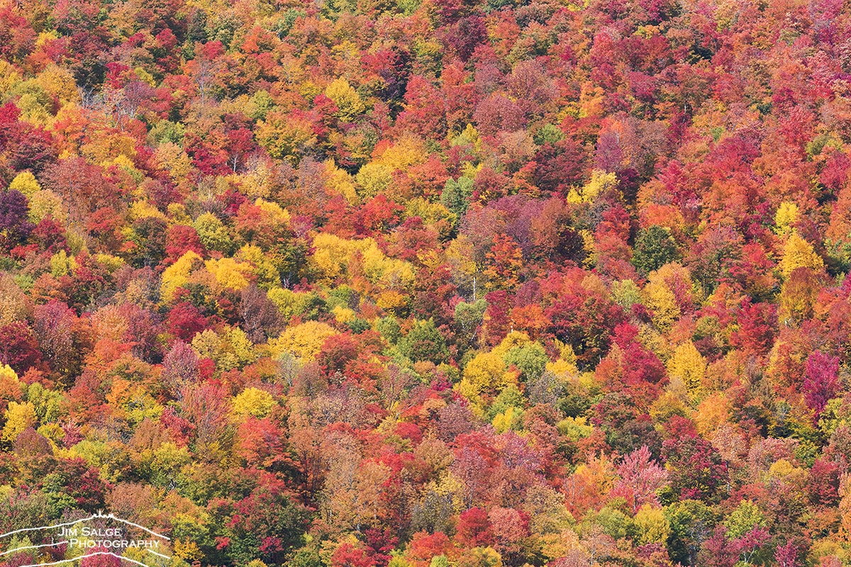 Final 2016 New England Fall Foliage Report New England Today