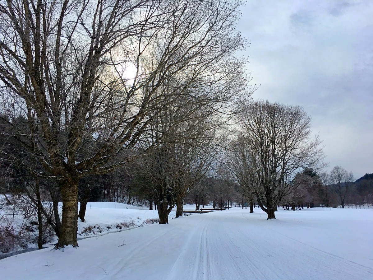 Best CrossCountry Skiing in New England Where to Go New England