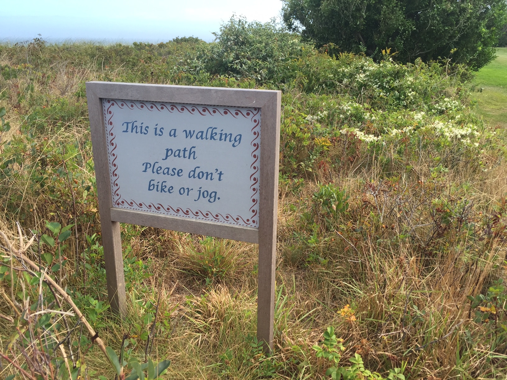 The 'Sconset Bluff Walk in Nantucket, MA New England Today