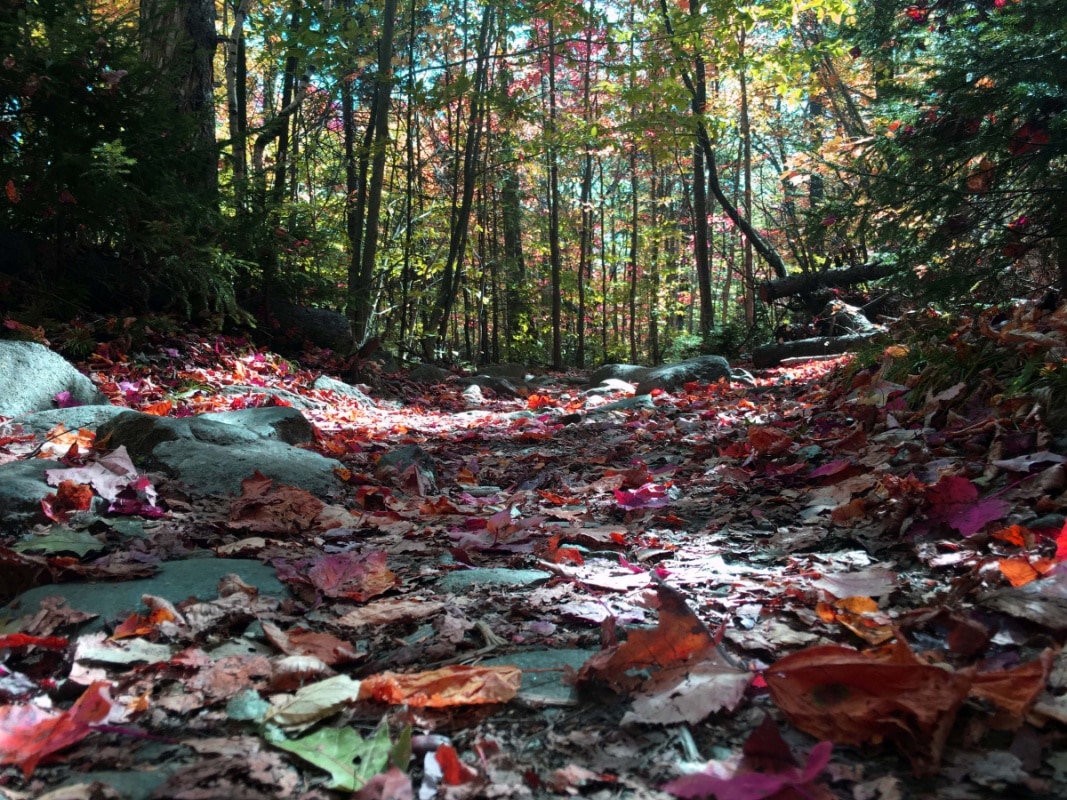 Favorite Late Fall Hikes in New England New England Today